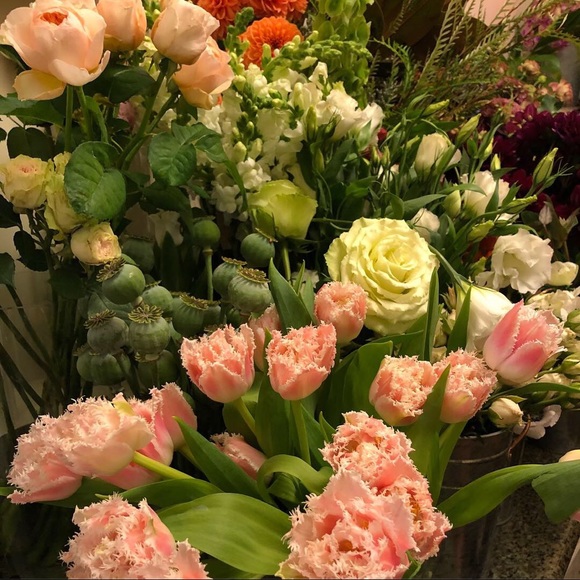 Meet your Posher, Olesya - Picture 1 of 1